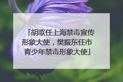 胡歌任上海禁毒宣传形象大使，樊振东任市青少年禁毒形象大使
