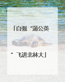 自强“蒲公英”飞进北林大