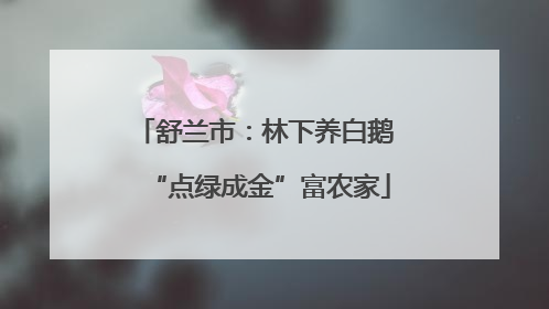 舒兰市：林下养白鹅 “点绿成金”富农家