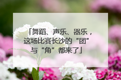 舞蹈、声乐、器乐，这场比赛长沙的“团”与“角”都来了