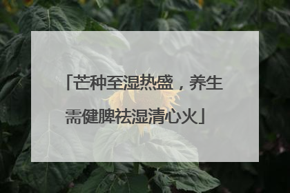 芒种至湿热盛，养生需健脾祛湿清心火