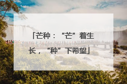芒种：“芒”着生长，“种”下希望