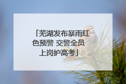 芜湖发布暴雨红色预警 交警全员上岗护高考