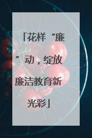 花样“廉”动，绽放廉洁教育新光彩