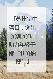 苏州吴中胥口：突出实训实战 助力年轻干部“壮苗抽穗”
