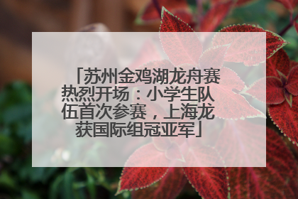 苏州金鸡湖龙舟赛热烈开场：小学生队伍首次参赛，上海龙获国际组冠亚军
