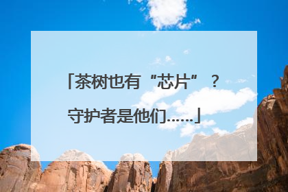 茶树也有“芯片”？守护者是他们……