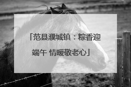 范县濮城镇：粽香迎端午 情暖敬老心