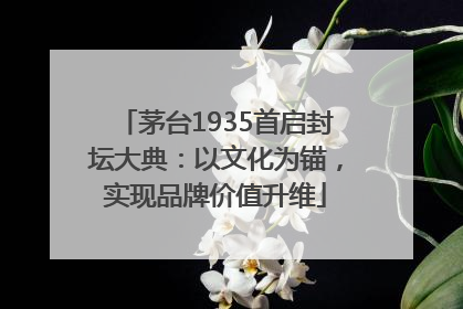 茅台1935首启封坛大典：以文化为锚，实现品牌价值升维