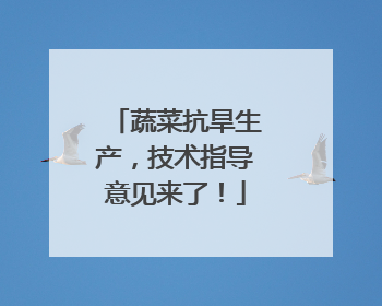 蔬菜抗旱生产，技术指导意见来了！