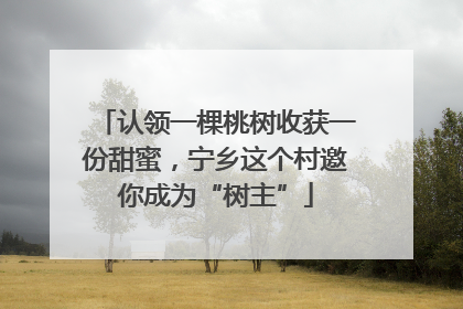 认领一棵桃树收获一份甜蜜，宁乡这个村邀你成为“树主”