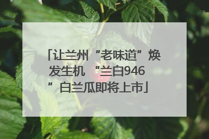 让兰州“老味道”焕发生机 “兰白946”白兰瓜即将上市