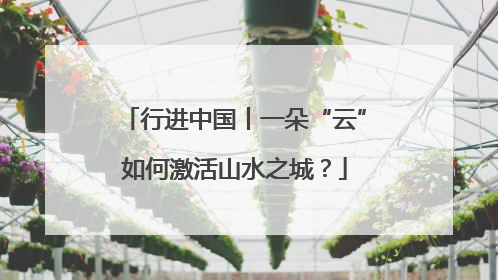 行进中国丨一朵“云”如何激活山水之城？