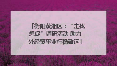 衡阳蒸湘区：“走找想促”调研活动 助力外经贸事业行稳致远