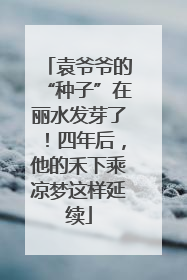 袁爷爷的“种子”在丽水发芽了！四年后，他的禾下乘凉梦这样延续