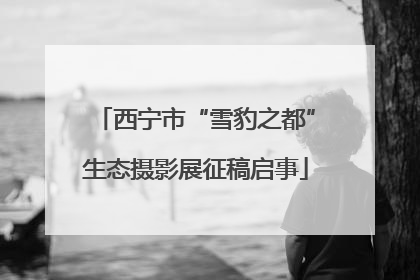 西宁市“雪豹之都”生态摄影展征稿启事