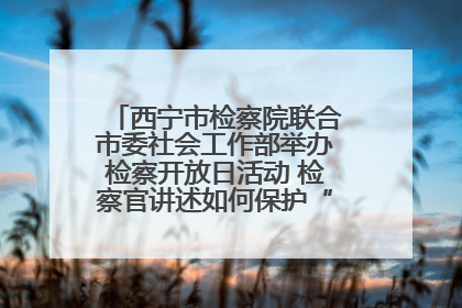 西宁市检察院联合市委社会工作部举办检察开放日活动 检察官讲述如何保护“少年的你”