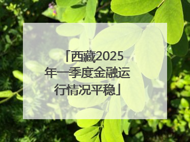 西藏2025年一季度金融运行情况平稳