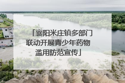 襄阳米庄镇多部门联动开展青少年药物滥用防范宣传