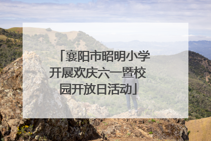 襄阳市昭明小学开展欢庆六一暨校园开放日活动