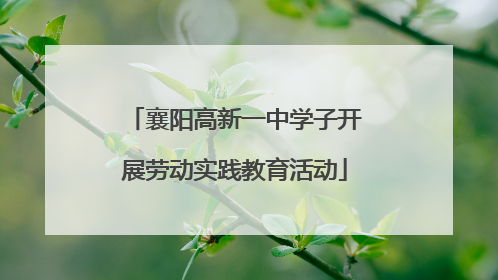 襄阳高新一中学子开展劳动实践教育活动