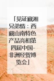 见证藏湘兄弟情：西藏山南特色产品亮相第四届中国-非洲经贸博览会