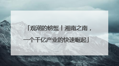 观潮的螃蟹丨湘南之南，一个千亿产业的快速崛起