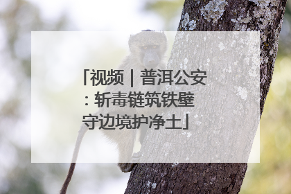 视频｜普洱公安：斩毒链筑铁壁 守边境护净土