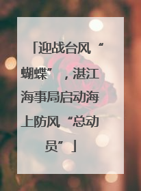 迎战台风“蝴蝶”，湛江海事局启动海上防风“总动员”