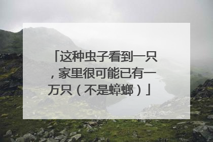 这种虫子看到一只，家里很可能已有一万只（不是蟑螂）