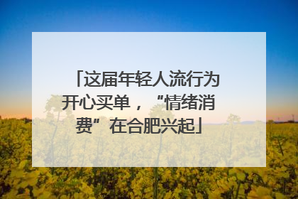 这届年轻人流行为开心买单，“情绪消费”在合肥兴起