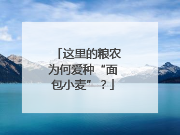 这里的粮农为何爱种“面包小麦”？