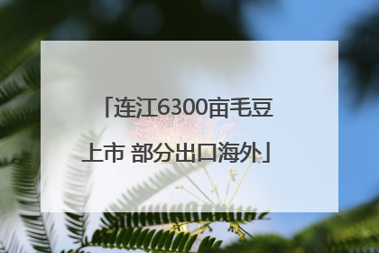 连江6300亩毛豆上市 部分出口海外