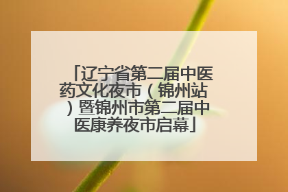 辽宁省第二届中医药文化夜市（锦州站）暨锦州市第二届中医康养夜市启幕