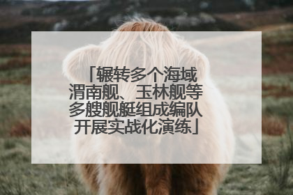 辗转多个海域 渭南舰、玉林舰等多艘舰艇组成编队开展实战化演练