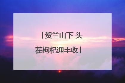 贺兰山下 头茬枸杞迎丰收