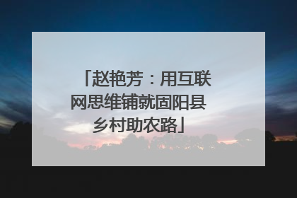 赵艳芳：用互联网思维铺就固阳县乡村助农路