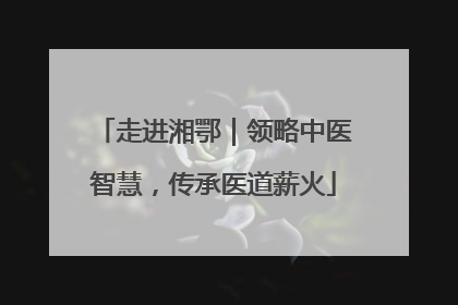 走进湘鄂｜领略中医智慧，传承医道薪火