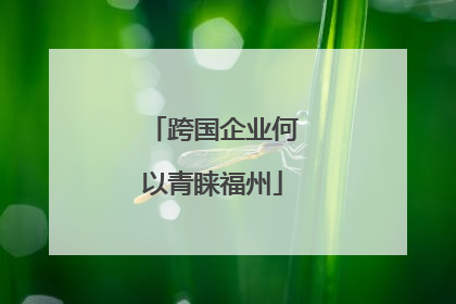 跨国企业何以青睐福州