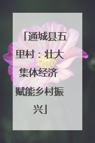 通城县五里村：壮大集体经济 赋能乡村振兴