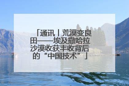 通讯丨荒漠变良田——埃及撒哈拉沙漠收获丰收背后的“中国技术”