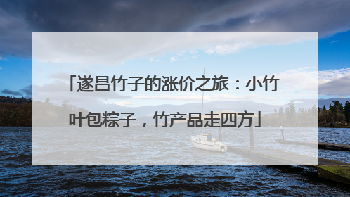 遂昌竹子的涨价之旅：小竹叶包粽子，竹产品走四方