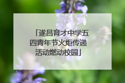 遂昌育才中学五四青年节火炬传递活动燃动校园