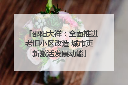 邵阳大祥：全面推进老旧小区改造 城市更新激活发展动能