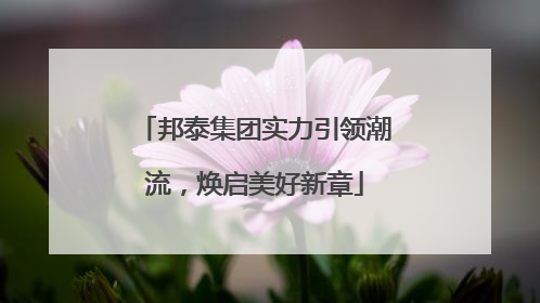 邦泰集团实力引领潮流，焕启美好新章