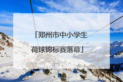郑州市中小学生荷球锦标赛落幕