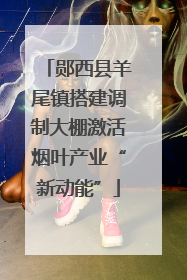 郧西县羊尾镇搭建调制大棚激活烟叶产业“新动能”