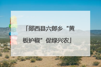 郧西县六郎乡“黄板护椒”促绿兴农
