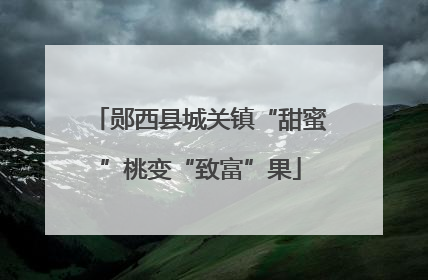 郧西县城关镇“甜蜜”桃变“致富”果