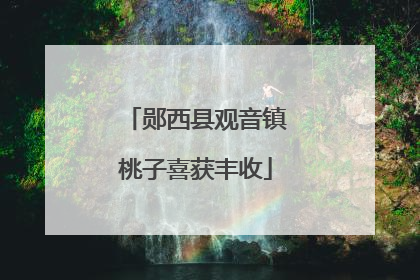 郧西县观音镇桃子喜获丰收